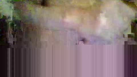 sisinyedz0000 online show from February 4, 2026, 5:41 pm