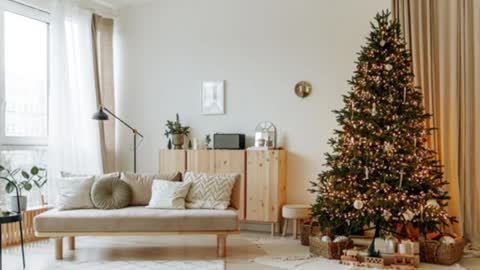 Snapshot of siswet19 chatting on December 19, 2024, 2:02 pm Elise online show from December 19, 2024, 2:02 pm