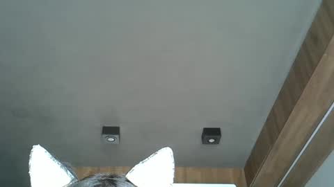 skinnykittencam online show from October 7, 2025, 4:59 pm