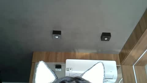 skinnykittencam online show from October 17, 2025, 6:43 pm