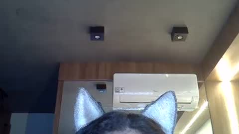 skinnykittencam online show from November 10, 2025, 8:46 am