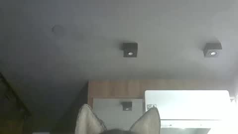 skinnykittencam online show from November 25, 2025, 1:16 am