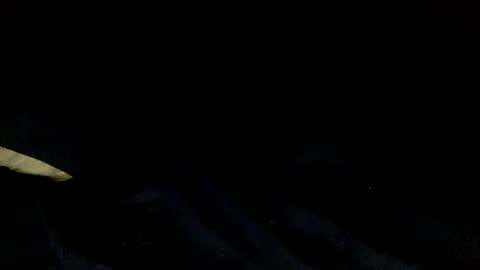 Snapshot of skinnypole6 chatting on December 4, 2024, 6:06 pm skinnypole6 online show from December 4, 2024, 6:06 pm