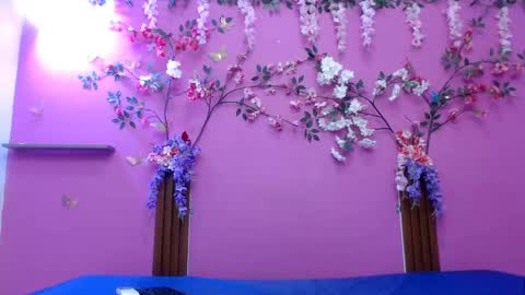 sofia online show from April 13, 2026, 12:54 pm