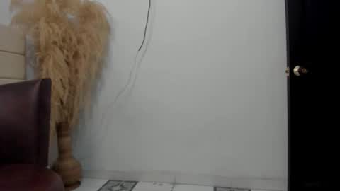 Snapshot of sky_dancer chatting on December 23, 2025, 2:20 am Reuben online show from December 23, 2025, 2:20 am