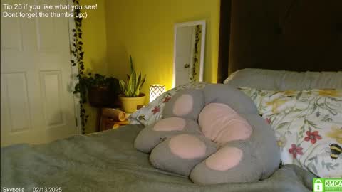 Skylar online show from February 13, 2025, 4:28 pm