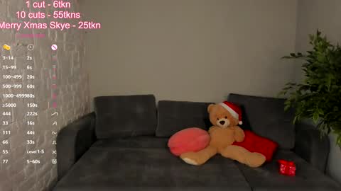 Snapshot of skye_shy chatting on December 27, 2024, 4:43 pm Skye online show from December 27, 2024, 4:43 pm