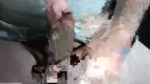 Z online show from September 13, 2025, 10:31 pm