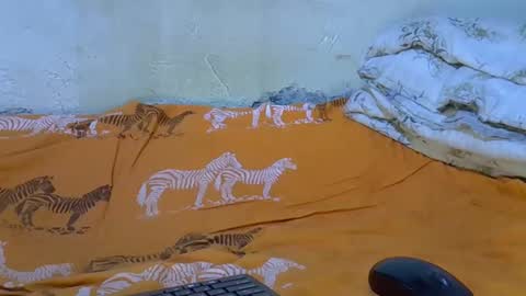 slim_girl3 online show from November 18, 2025, 2:21 pm