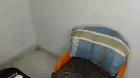 Bella online show from July 19, 2026, 7:28 pm