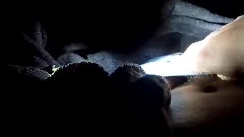 Snapshot of slimbigd69420 chatting on November 17, 2025, 5:02 am slimbigd69420 online show from November 17, 2025, 5:02 am