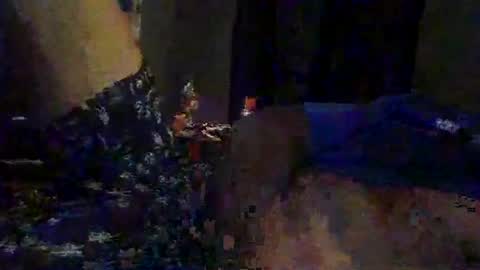 Snapshot of slimeguy315 chatting on September 20, 2025, 3:40 am slimeguy315 online show from September 20, 2025, 3:40 am