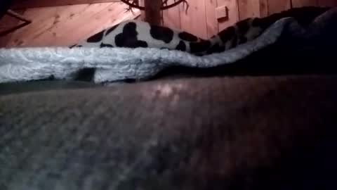 slurryyy online show from March 29, 2026, 1:38 am