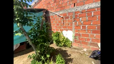 Smith  online show from December 8, 2024, 5:01 pm