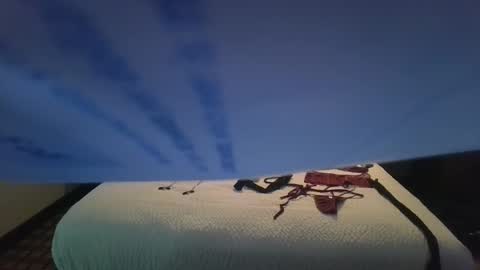 love bug online show from October 26, 2025, 8:42 am