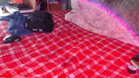 Snail online show from February 17, 2026, 2:35 pm