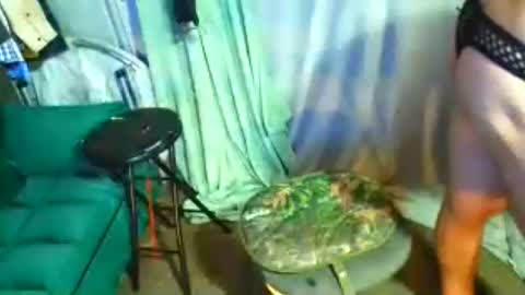Snapshot of snizniz chatting on July 29, 2026, 6:11 am snizniz online show from July 29, 2026, 6:11 am