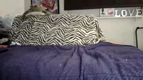 MicroAngelo online show from November 2, 2025, 10:50 am