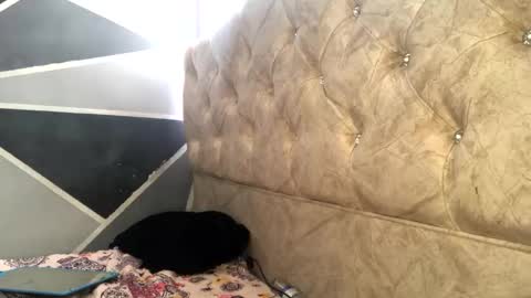 Sofia Jimenez online show from November 4, 2025, 6:18 pm