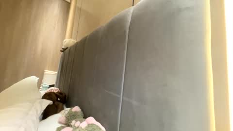 sofiaalvarezx online show from July 11, 2026, 5:04 pm
