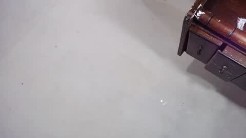 sofiadoll77 online show from December 28, 2024, 6:17 am