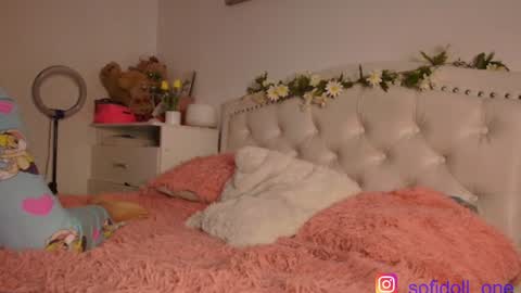 Snapshot of sofidoll1 chatting on December 27, 2024, 9:17 am Sofia PVT online show from December 27, 2024, 9:17 am