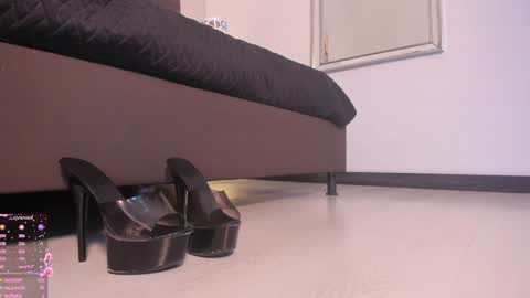      online show from January 23, 2025, 2:17 pm