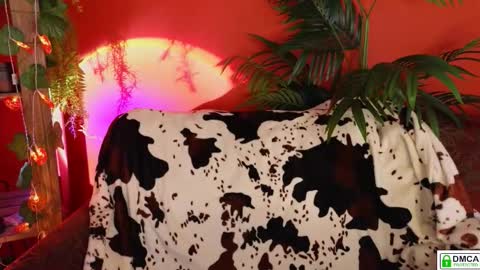 E online show from November 18, 2025, 9:14 am