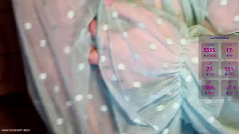 Snapshot of soft_body chatting on February 7, 2025, 3:08 pm Hi Im Sofia online show from February 7, 2025, 3:08 pm