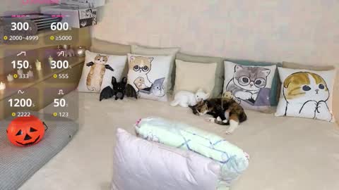 Mia online show from October 31, 2025, 7:37 pm