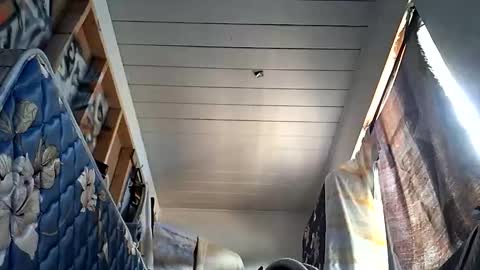 sohan730903 online show from October 1, 2025, 7:20 pm