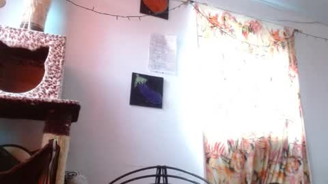 Snapshot of soka_lovers_04_ chatting on January 6, 2026, 12:09 pm Sofia online show from January 6, 2026, 12:09 pm