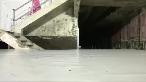 L4 online show from October 16, 2025, 8:10 pm