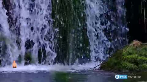 solisii online show from November 8, 2025, 10:48 am