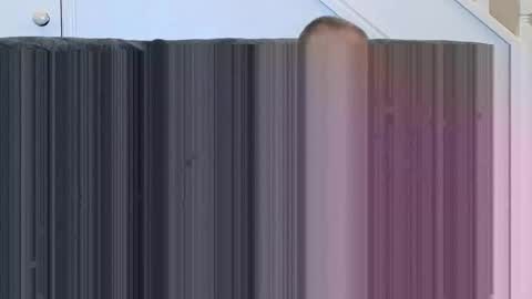 jeff online show from November 15, 2025, 1:07 pm