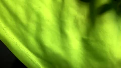 Snapshot of son_e_blacc chatting on February 10, 2025, 6:31 am Soni online show from February 10, 2025, 6:31 am