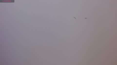 Sophie online show from November 17, 2025, 8:25 pm