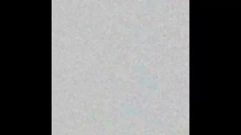 sophia1331 online show from November 23, 2025, 8:52 pm