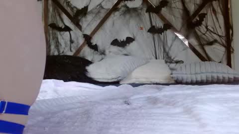 Snapshot of sophiaalee chatting on October 15, 2025, 11:27 pm SophiaLee online show from October 15, 2025, 11:27 pm