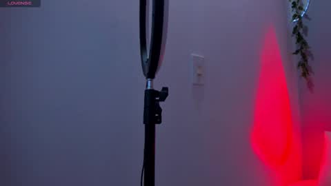 Sophie online show from December 20, 2025, 7:10 pm