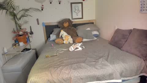 SofiTrans21 online show from December 15, 2024, 9:53 pm