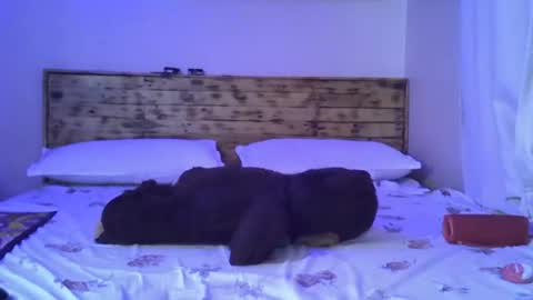 Snapshot of splasher_queen chatting on October 25, 2025, 11:29 am Splasher online show from October 25, 2025, 11:29 am