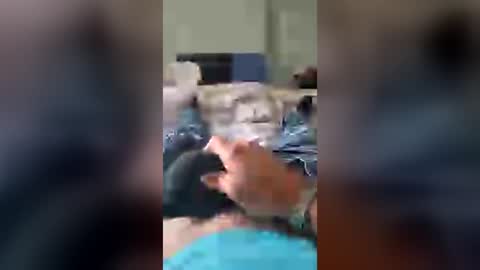 Spudrocks online show from July 14, 2026, 2:23 pm