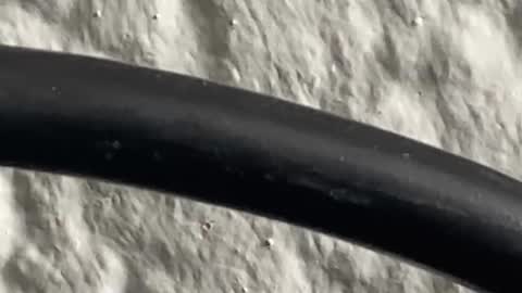 squirt__games online show from March 6, 2025, 6:48 pm