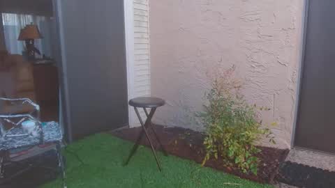 srtxshow online show from March 13, 2026, 11:33 pm