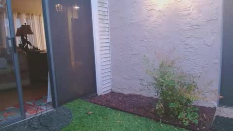 srtxshow online show from April 4, 2026, 12:02 pm