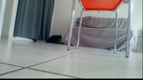 ssenzo online show from December 21, 2025, 2:13 pm