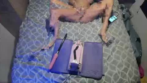 staciwilde online show from April 5, 2026, 3:26 am