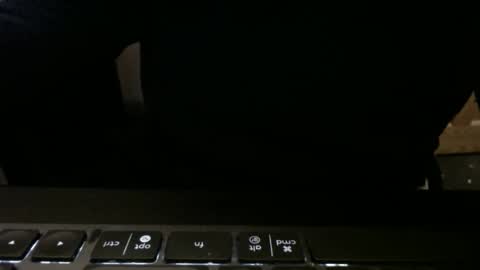 Snapshot of stargazer1069 chatting on November 13, 2025, 9:52 am stargazer1069 online show from November 13, 2025, 9:52 am