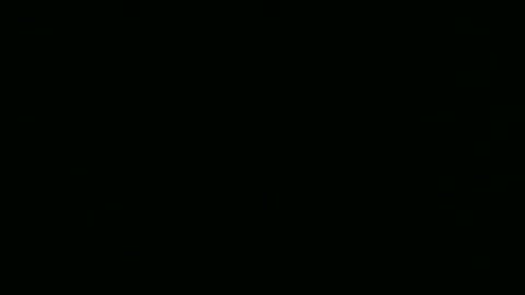 steflab online show from February 24, 2026, 10:57 am